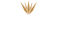Casa Loy Tequilera